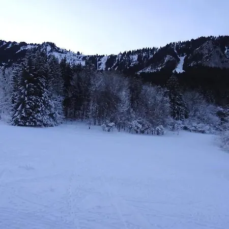 Appartement Ambiance Montagne Front De Neige